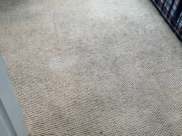 Bedroom carpet after professional cleaning